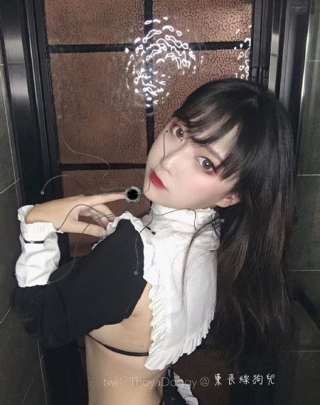 假期历险记电影完整版免费观看
