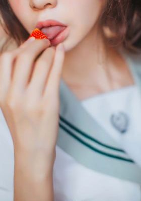 完美证据电视剧免费观看完整版