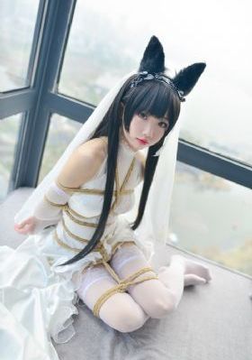 熊出没之狂野大陆